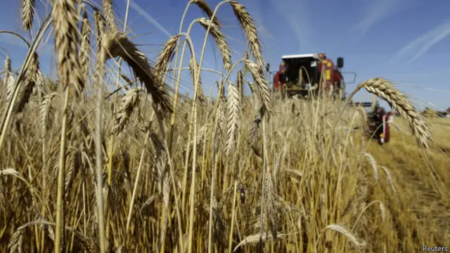 Лукашенко озаботился границей