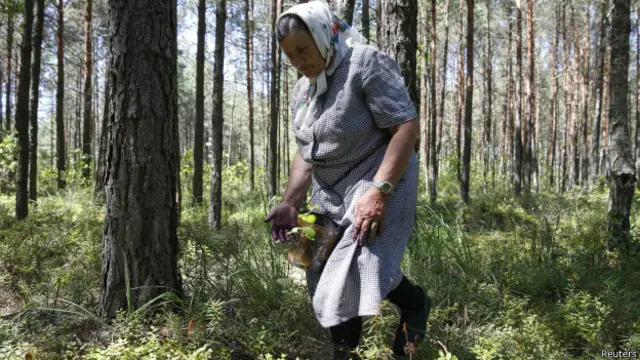 Лукашенко озаботился границей