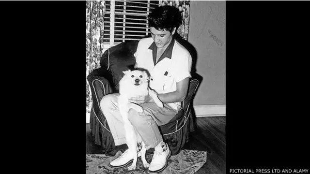 एल्विस प्रिस्ली