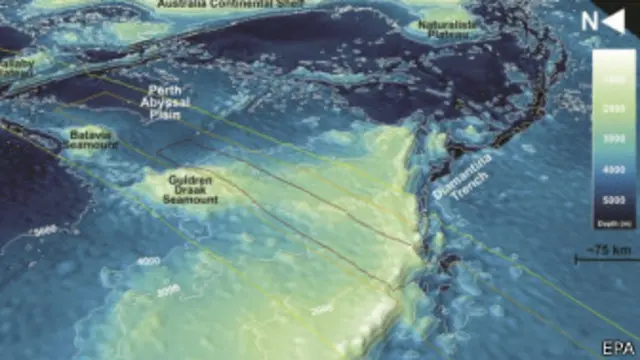 Gráfica de búsqueda