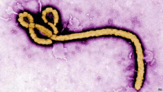 Virus Ebola đang lan truyền nhanh chóng ở Liberia