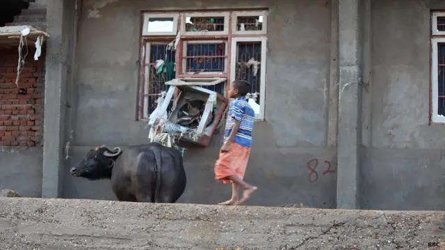 जम्मू बाढ़