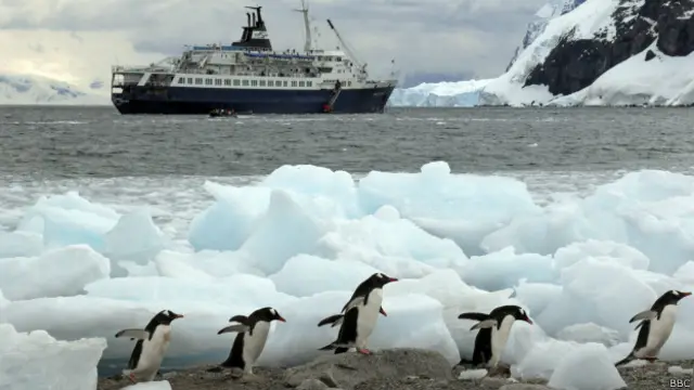 Около половины всех выбросов берут на себя моря, деревья и живые существа