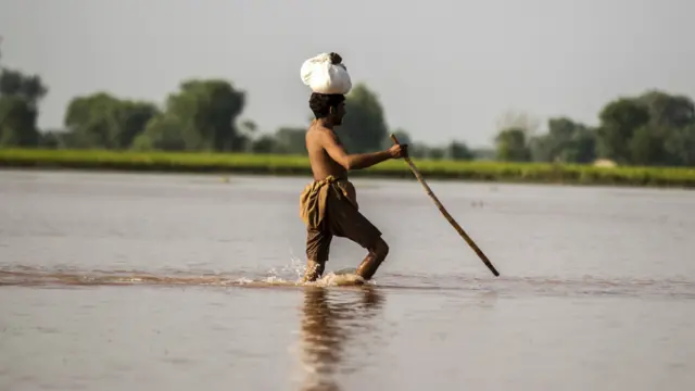 سیلاب سے متاثرہ علاقوں میں فصلوں کو بھی بڑی پیمانے پر نقصان پہنچا ہے اور لاکھوں ایکڑ زرعی اراضی زیر آب آ گئی ہے۔
