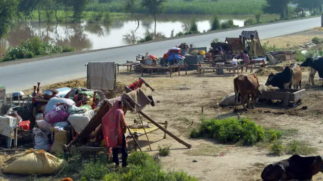پنجاب میں کئی جگہوں پر بیراجوں کو بچانے کے لیے حفاظتی پشتوں میں شگاف ڈالنے پڑے جس سے بہت سے دیہات زیر آب آ گئے۔