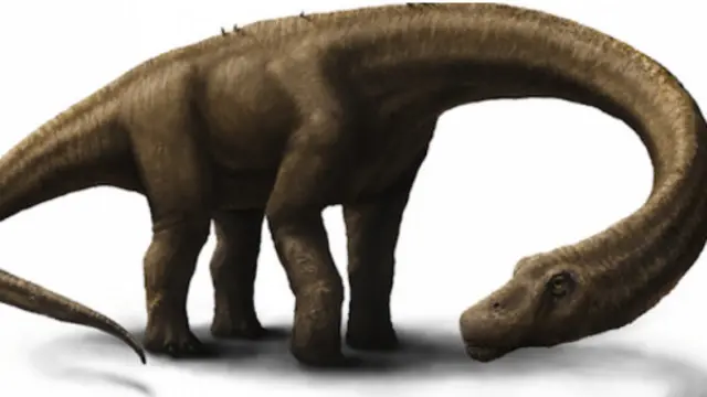 Mifupa mipya ya Dinosaria ilipatikana Tanzania 