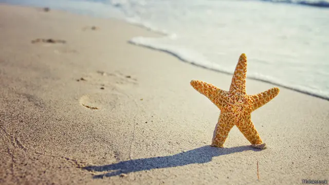 Морская звезда на пляже