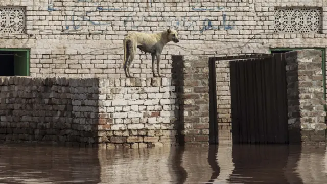 محکمۂ موسمیات کے مطابق ممکنہ سیلاب کی وجہ سے ملتان اور مظفر گڑھ کے نشیبی علاقوں میں رہنے والے افراد کو محتاط رہنے اور دریا کے قریبی علاقے خالی کرنے کی ہدایات جاری کی گئی ہیں۔