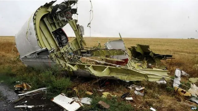 Các mảnh vỡ từ chiếc MH17 vẫn còn vương vãi ở miền Đông Ukraine