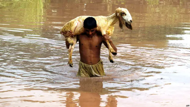 Warga memabwa ternak