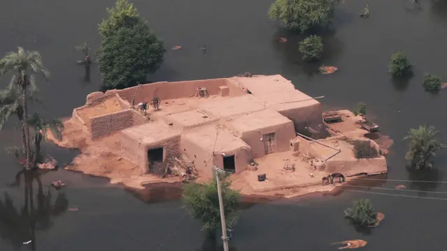 چارواکي وايي د سیلاب ډېرې اوبه اوس مهال د جهنګ له سیمې تېرېږي. 