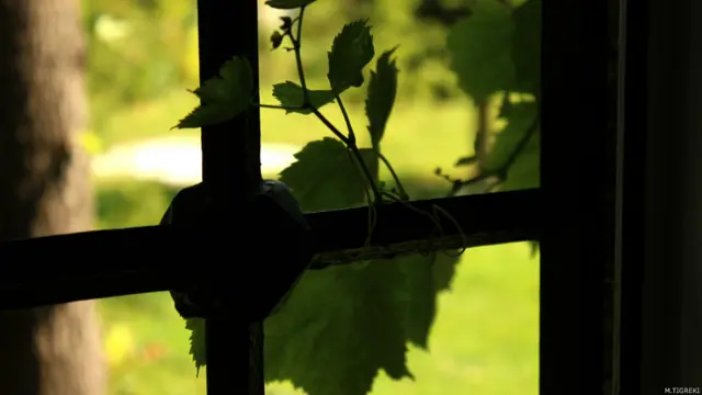 M.Tigreki'in çektiği fotoğraf