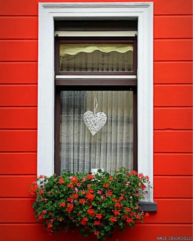 Hale Çevikoğlu : Almanya, Mülheim an der Ruhr bölgesindeki evlerden biri. Hemen tüm evlerin pencereleri salkım salkım ve rengarenk çiçeklerle bezeli. 