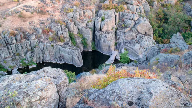 Фото Віталія Мілевича