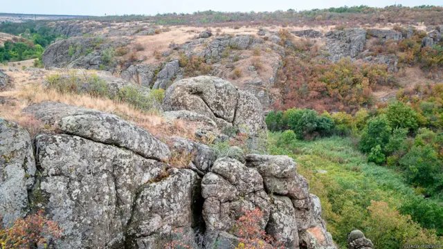 Фото Віталія Мілевича