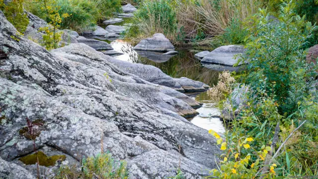 Фото Віталія Мілевича