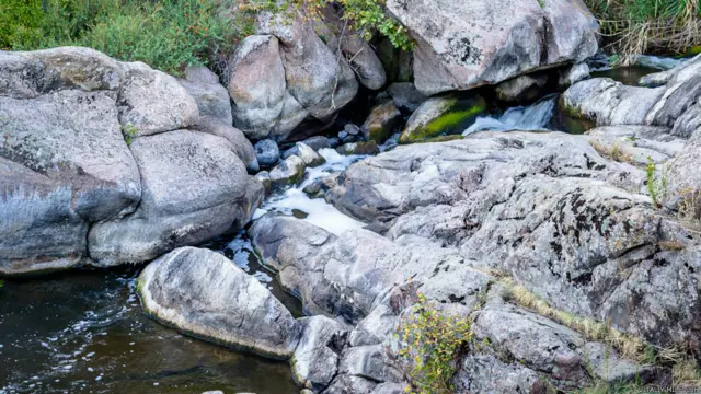 Фото Віталія Мілевича