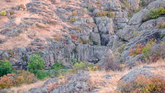 Фото Віталія Мілевича