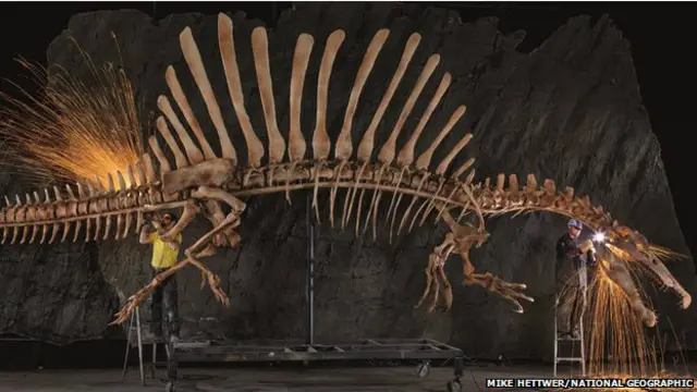 Espinossauro (National Geographic)