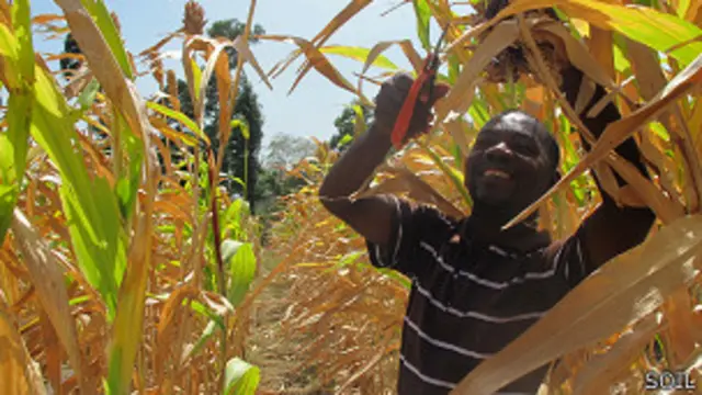 SOIL ya vende parte del abono que produce.