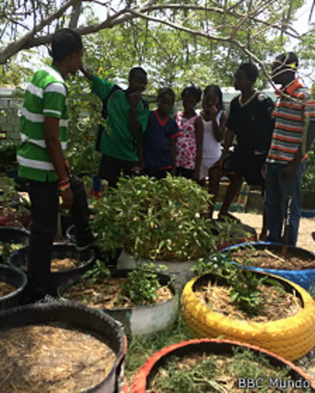 Huerto de François France