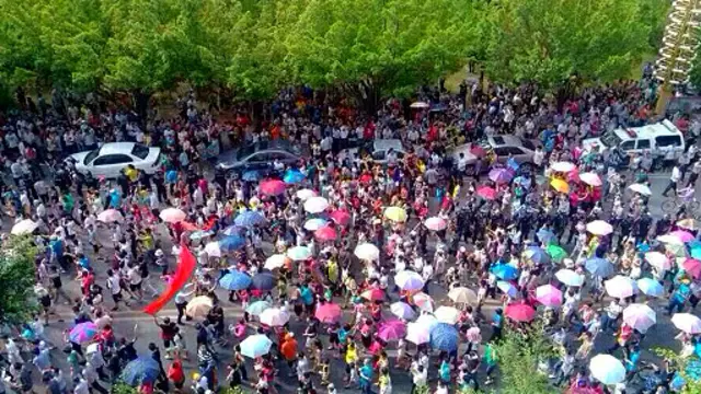 参加游行人数至少有数千人（网络图片）