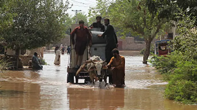 कश्मीरी, बाढ़