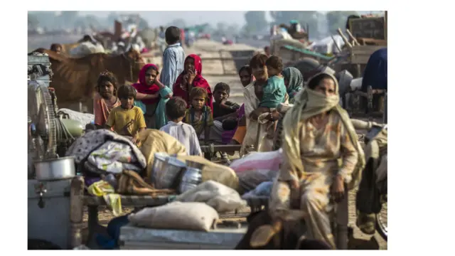 پنجاب کے سیلاب سے متاثرہ علاقوں سے 276681 افراد کو محفوظ مقامات پر منتقل کیا گیا ہے۔ 