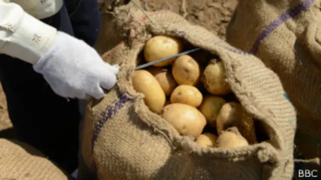 'සහතික මිලට කොහේද අලෙවි වෙන්නේ?'