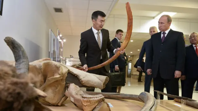 俄国总统普京到远东猛犸象博物馆去参观
