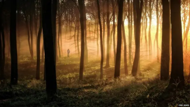 Woodcote, Oxfordshire, Inglaterra