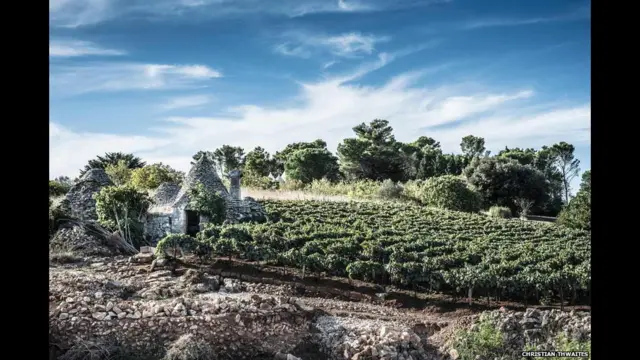 Edificios "trulli", típicos de Puglia, Italia