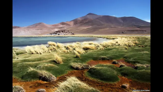 Laguna Santa Rosa, Atacama, Chile