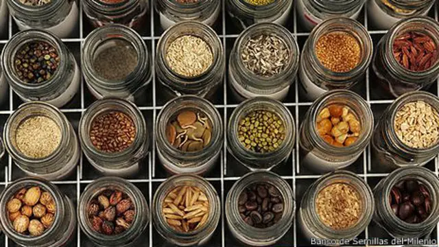 El Banco de Semillas de Kew