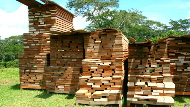 Una operación conducida recientemente por la aduana de Perú decomisó, en sólo tres meses, un volumen de madera ilegal suficiente para llenar más de seis piscinas olímpicas.