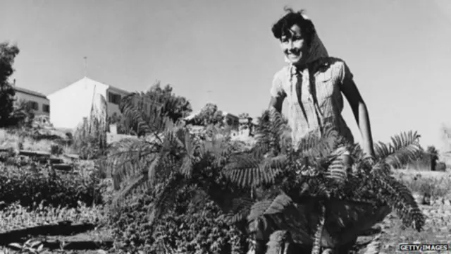 در دهه‌های ۶۰ و ۷۰ میلادی، اسرائیل و به ویژه مفهوم مزارع اشتراکی (کیبوتز) از نگاه بسیاری در غرب نشانگر جامعه آرمانشهری بود 