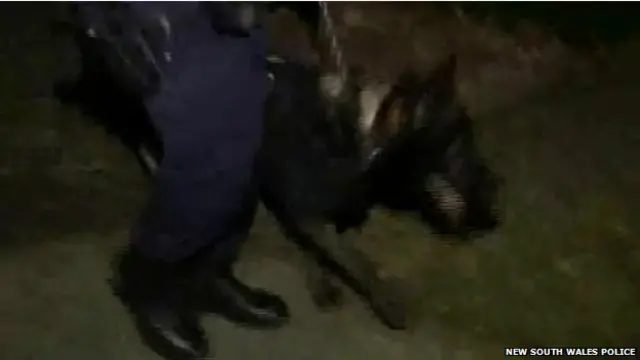 澳大利亞警方周四凌晨在悉尼和布里斯班的反恐行動中逮捕了15名嫌疑人（18/09/2014）