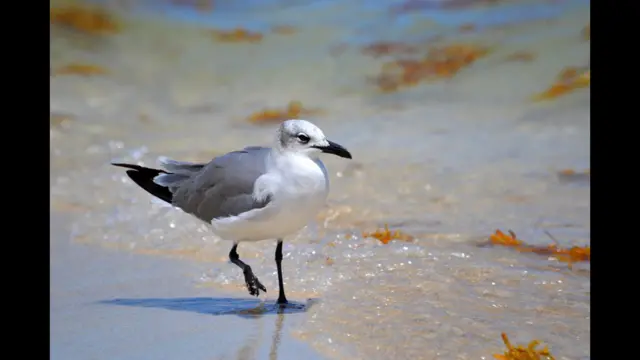 Foto de un lector de BBC Mundo por el tema “verano”