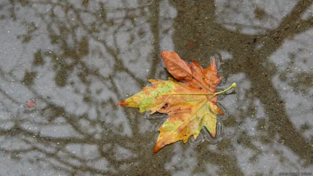 Ekrem Koray Berkin İstanbul Gezi Parkı'nda çektiği bu kareyi paylaşıyor.
