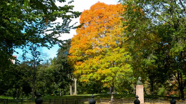 Fahri Alp Ekim 2003'te ünlü Central Park'ta çektiği bu kareyi paylaşıyor. 