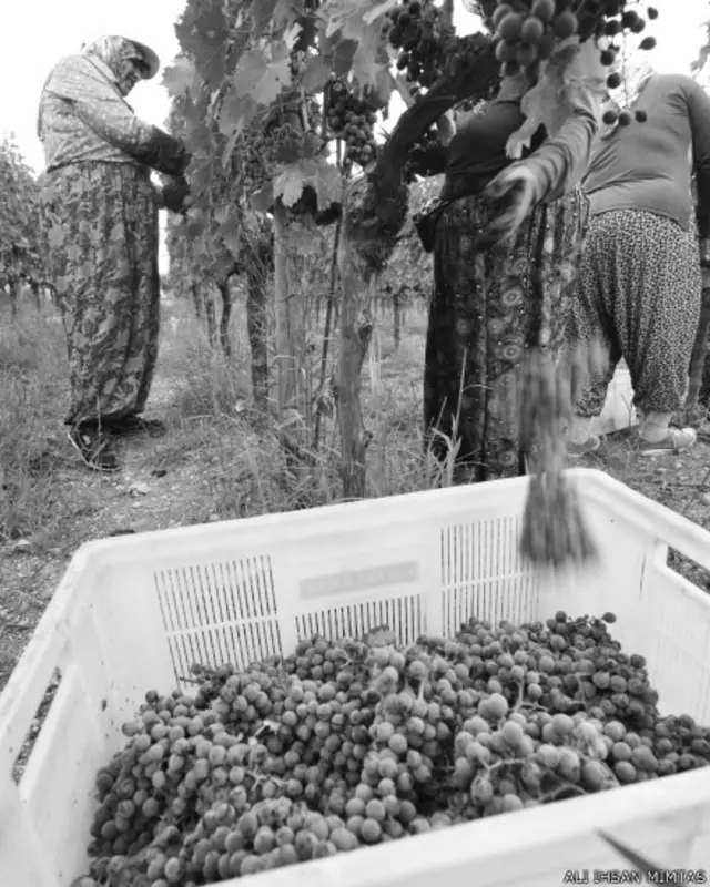 Aykut Aydın Samsun'dan "Hırçın Karadeniz" fotoğrafını paylaşıyor. 