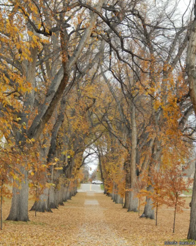 Semin Barlak ABD'den yüksek lisans yaptığı yıllarda çektiği bir fotoğrafı paylaşıyor. 