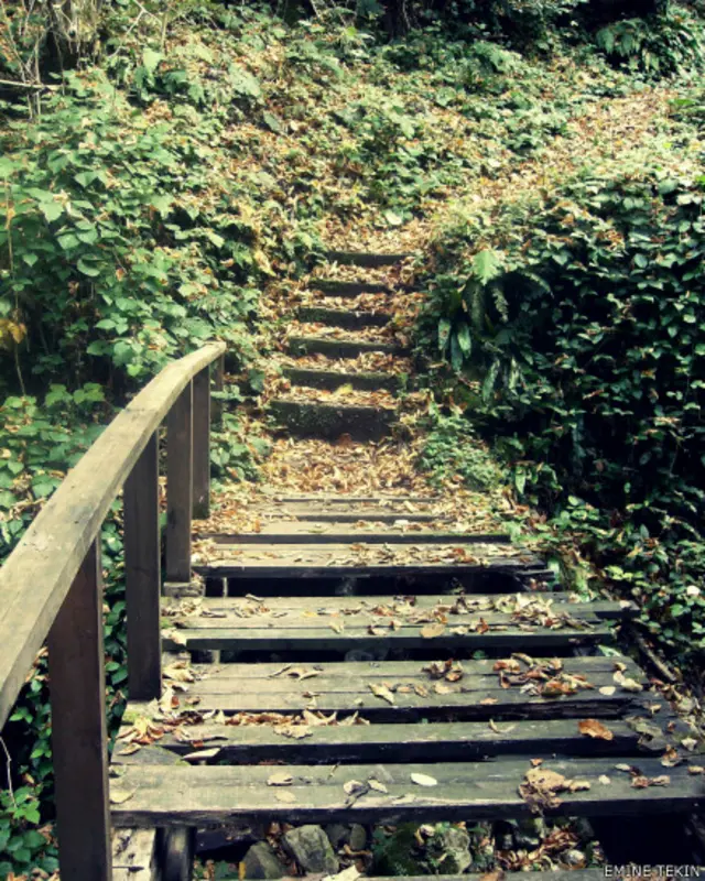 Emine Tekin Akçakoca'dan paylaşıyor.