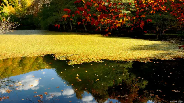 Serdar Şeker Bolu Yedigöller'den paylaşıyor. 