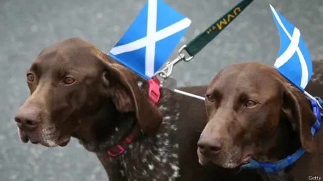 Референдум в Шотландии