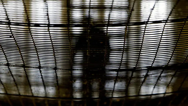 جن لوگوں کو جیل سے رہا کیا جائے گا ان میں 67 لوگ ایسے ہیں جو عمر قید کی سزا کاٹ رہے ہیں