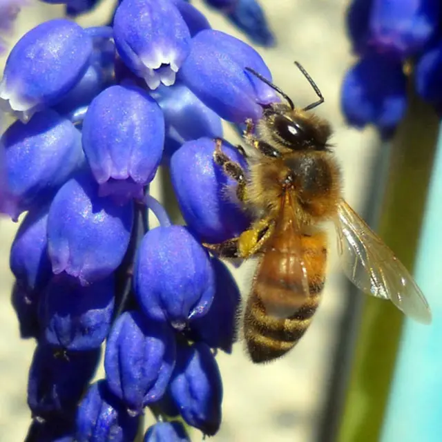 Foto de un lector de BBC Mundo por el tema “verano”