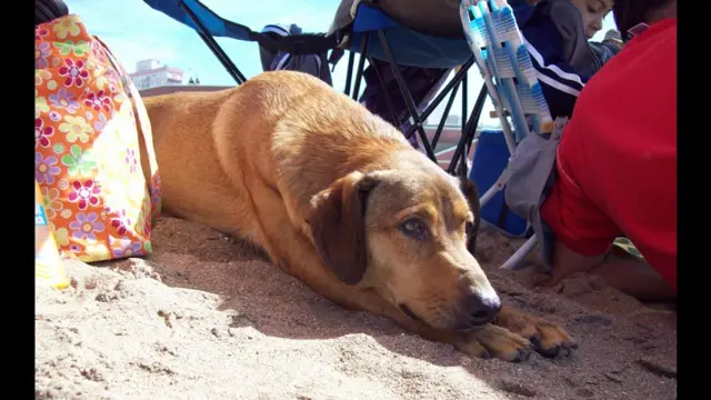 Foto de una lectora de BBC Mundo por el tema “verano”