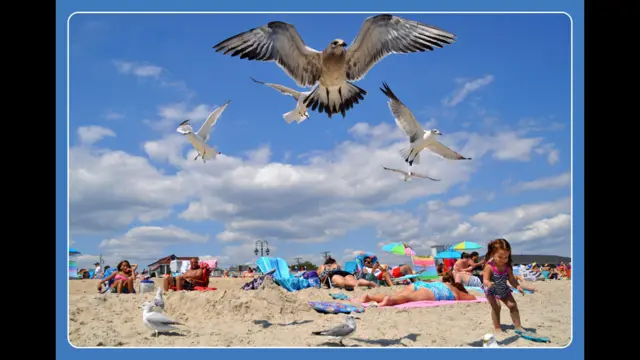 Foto de un lector de BBC Mundo por el tema “verano”