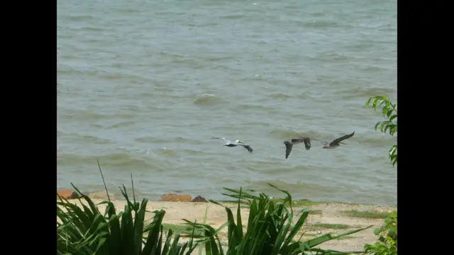 Foto de una lectora de BBC Mundo por el tema “verano”
